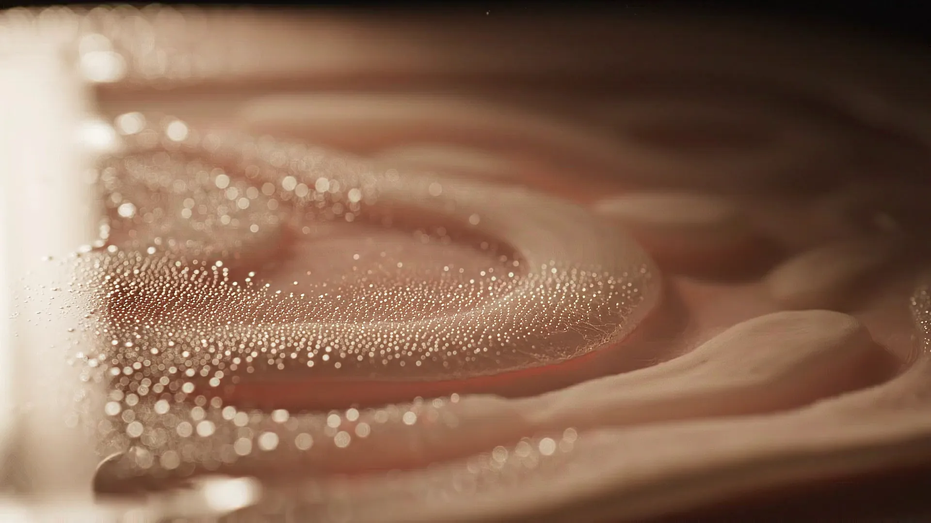 Soft daylight moving across a translucent surface — still frame from the living light film